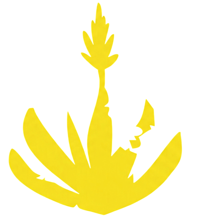 Costa Canaria Aloe Vera